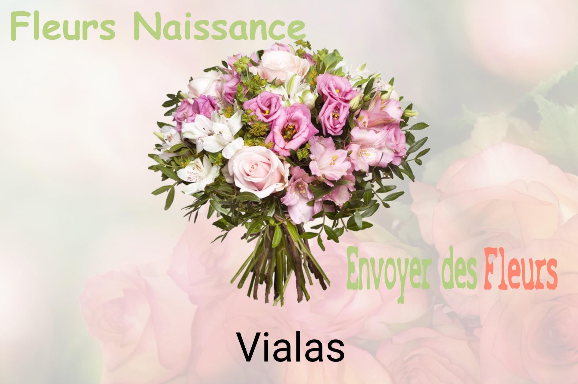 Bouquet de fleurs de naissance livré à Vialas