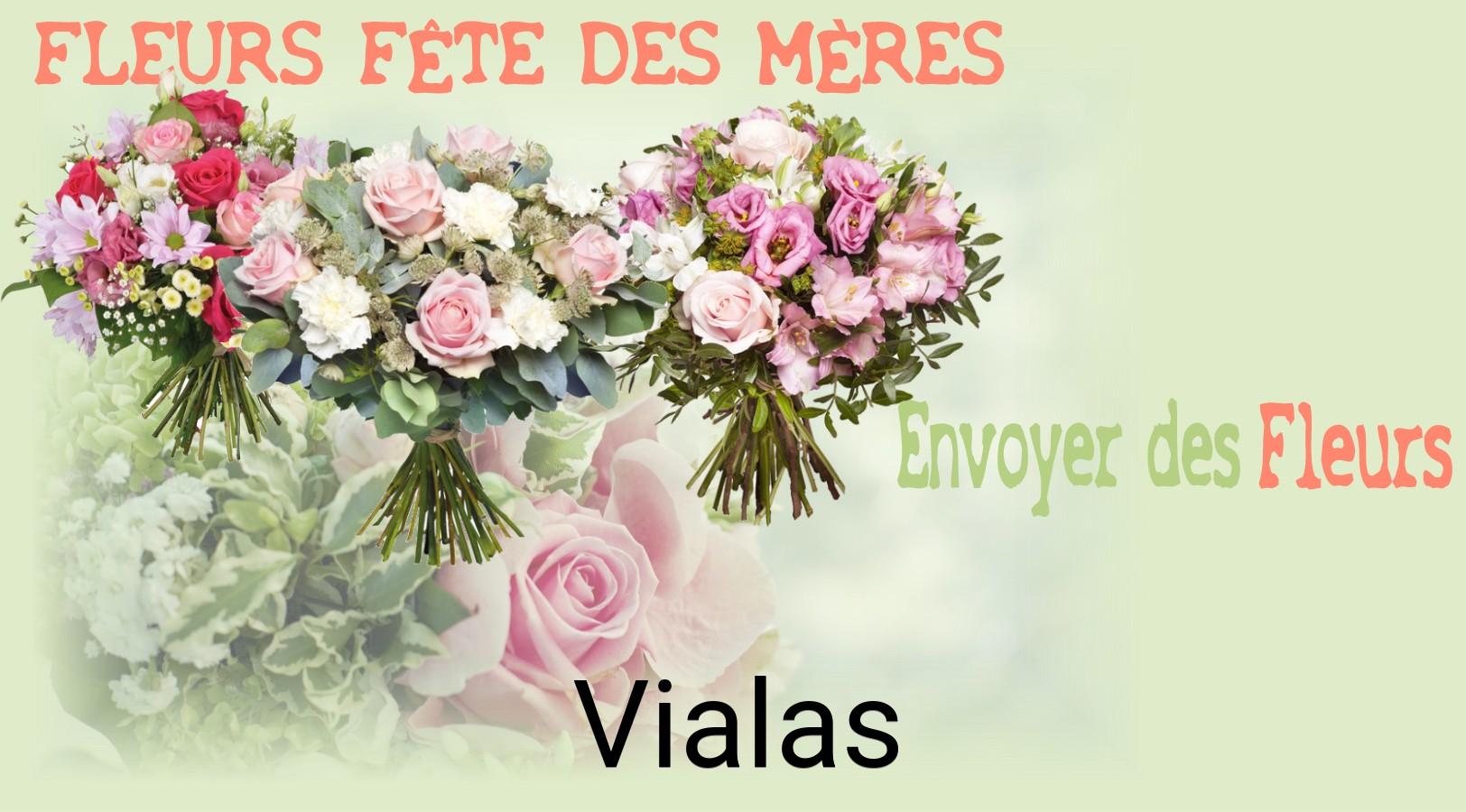 Bouquet de Fête des Mères livré à Vialas